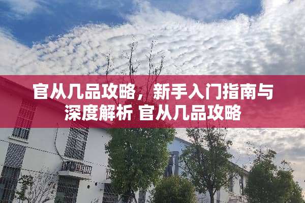 官从几品攻略，新手入门指南与深度解析 官从几品攻略