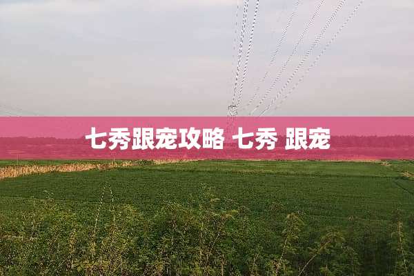 七秀跟宠攻略 七秀 跟宠
