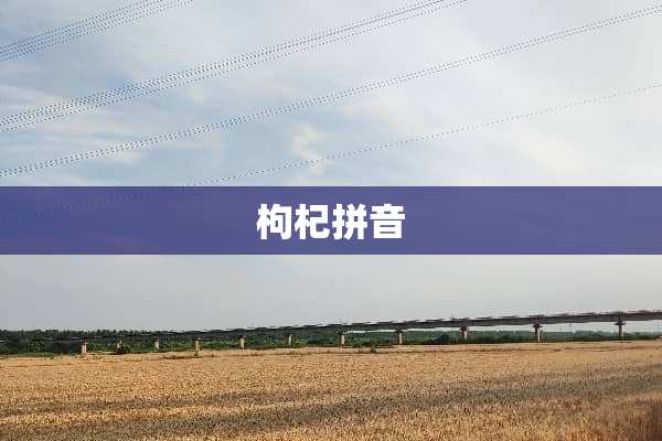 枸杞拼音