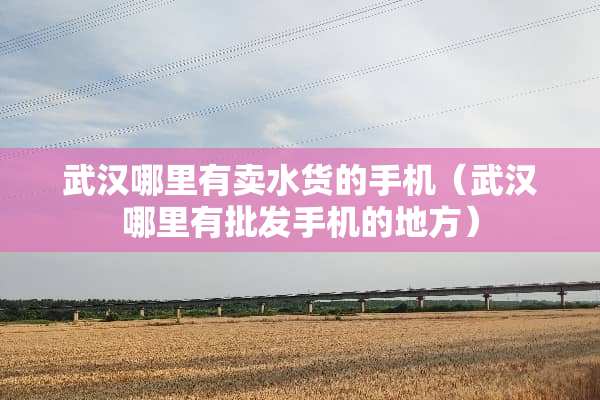 武汉哪里有卖水货的手机（武汉哪里有批发手机的地方）