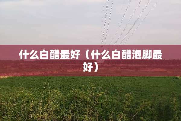 什么白醋最好(什么白醋泡脚最好) 什么白醋最好(什么白醋泡脚最好)