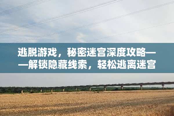 逃脱游戏，秘密迷宫深度攻略——解锁隐藏线索，轻松逃离迷宫 逃脱游戏秘密迷宫攻略