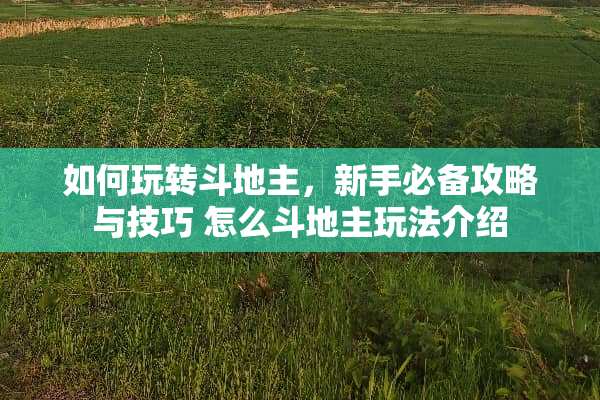 如何玩转***，新手必备攻略与技巧 怎么***玩法介绍