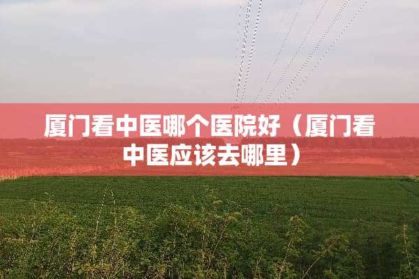 厦门看中医哪个医院好（厦门看中医应该去哪里）