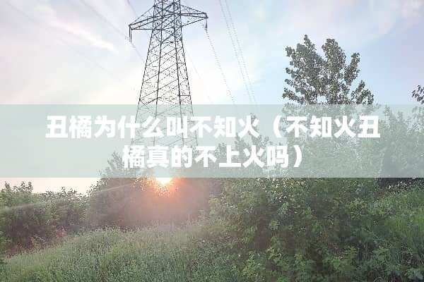 丑橘为什么叫不知火（不知火丑橘真的不上火吗）