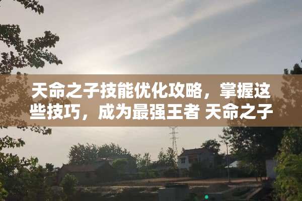 天命之子技能优化攻略，掌握这些技巧，成为最强王者 天命之子技能