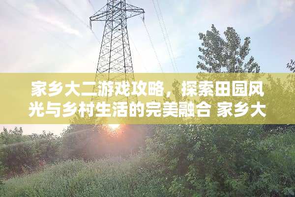 家乡大二游戏攻略，探索田园风光与乡村生活的完美融合 家乡大二游戏攻略