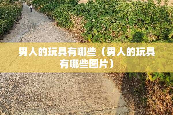 男人的玩具有哪些(男人的玩具有哪些图片) 男人的玩具有哪些(男人的玩具有哪些图片)