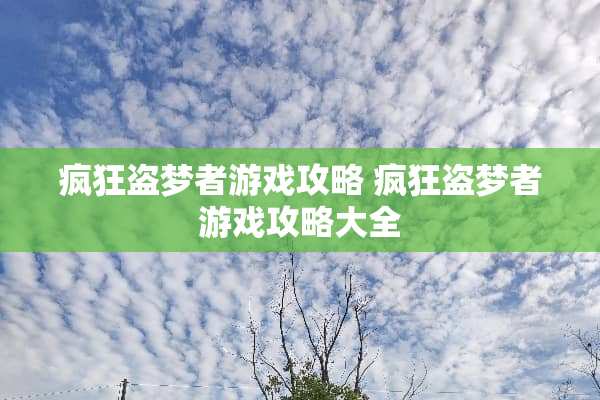 疯狂盗梦者游戏攻略 疯狂盗梦者游戏攻略大全