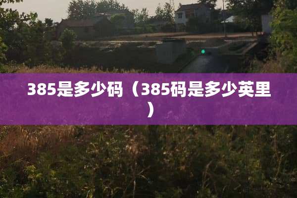 385是多少码（385码是多少英里）