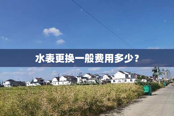 水表更换一般费用多少？