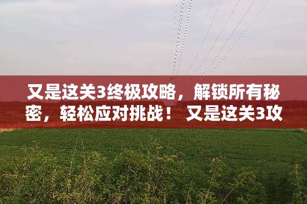 又是这关3终极攻略，解锁所有秘密，轻松应对挑战！ 又是这关3攻略