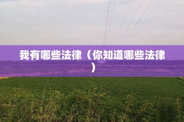 我有哪些法律（你知道哪些法律）