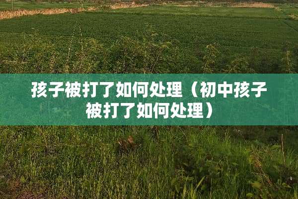 孩子被打了如何处理（初中孩子被打了如何处理）