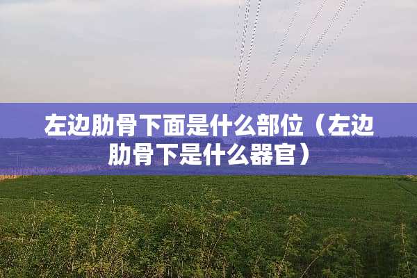 左边肋骨下面是什么部位（左边肋骨下是什么**）