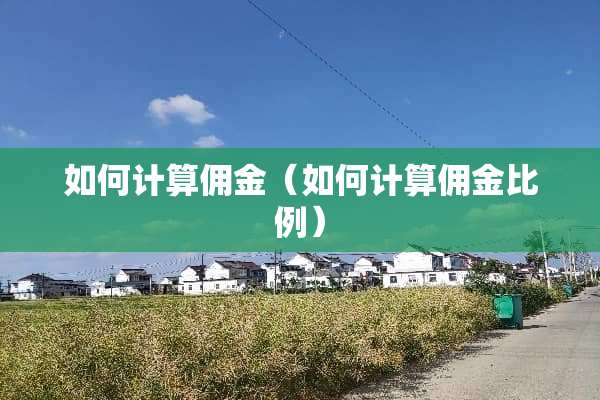 如何计算佣金（如何计算佣金比例）