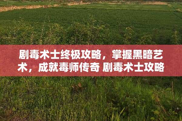 剧毒术士终极攻略，掌握黑暗艺术，成就毒师传奇 剧毒术士攻略