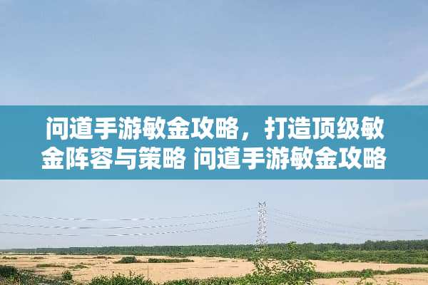 问道手游敏金攻略，打造**敏金阵容与策略 问道手游敏金攻略