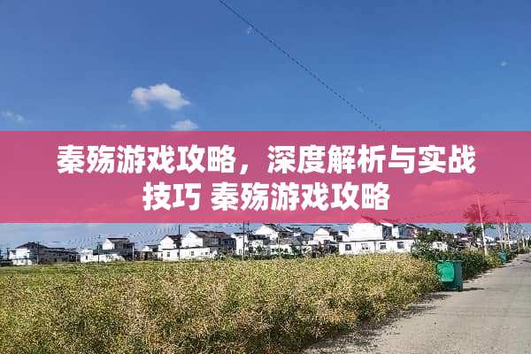 秦殇游戏攻略，深度解析与实战技巧 秦殇游戏攻略