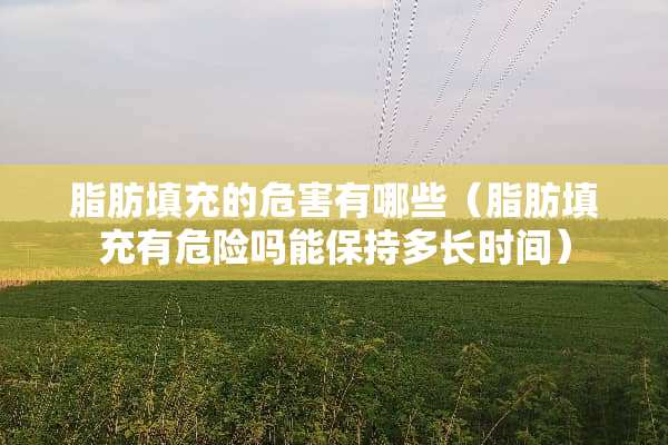 脂肪填充的危害有哪些（脂肪填充有危险吗能保持多长时间）