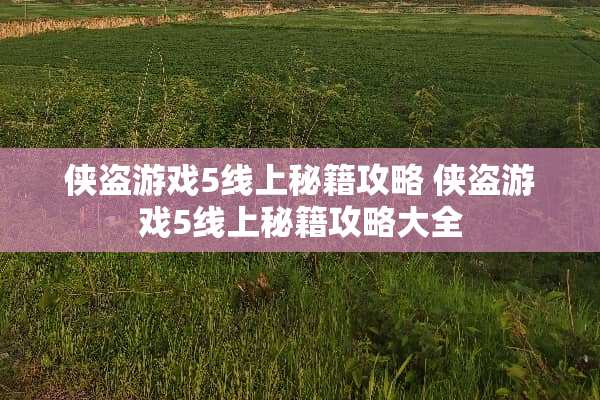 侠盗游戏5线上秘籍攻略 侠盗游戏5线上秘籍攻略大全