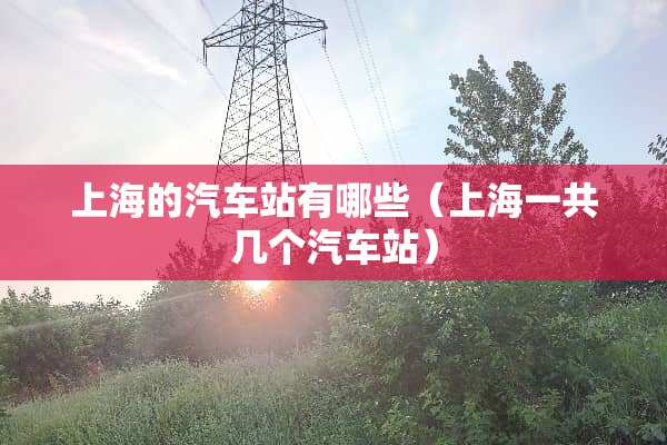 上海的汽车站有哪些（上海一共几个汽车站）