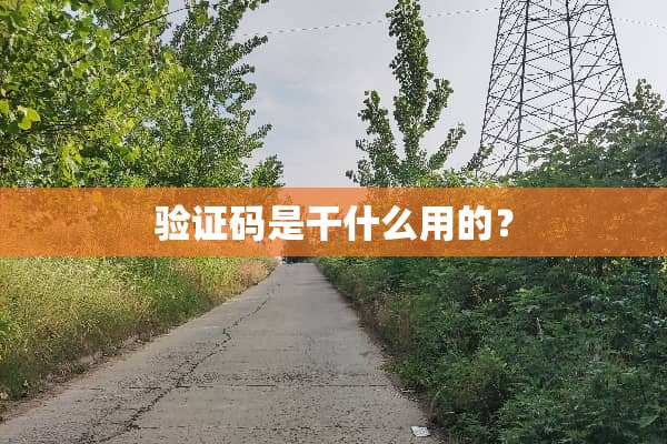 验证码是干什么用的？