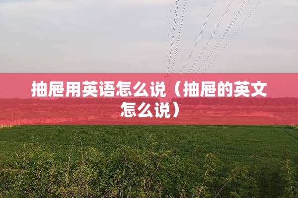 抽屉用英语怎么说（抽屉的英文怎么说）