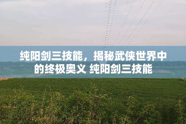 纯阳剑三技能,揭秘武侠世界中的终极奥义 纯阳剑三技能 纯阳剑三技能,揭秘武侠世界中的终极奥义 纯阳剑三技能