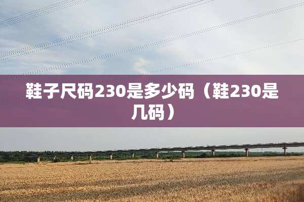 鞋子尺码230是多少码（鞋230是几码）