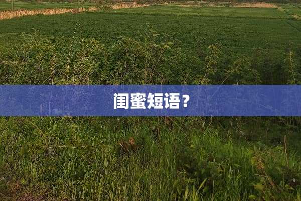 闺蜜短语？