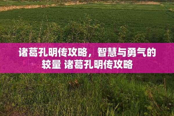 诸葛孔明传攻略，智慧与勇气的较量 诸葛孔明传攻略