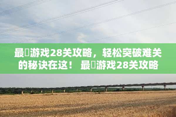 最囧游戏28关攻略，轻松突破难关的秘诀在这！ 最囧游戏28关攻略
