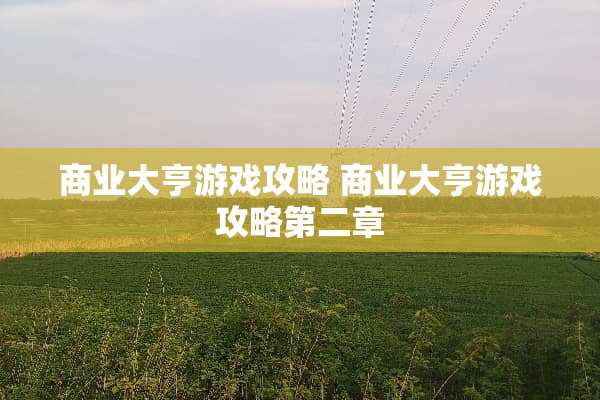 商业大亨游戏攻略 商业大亨游戏攻略第二章