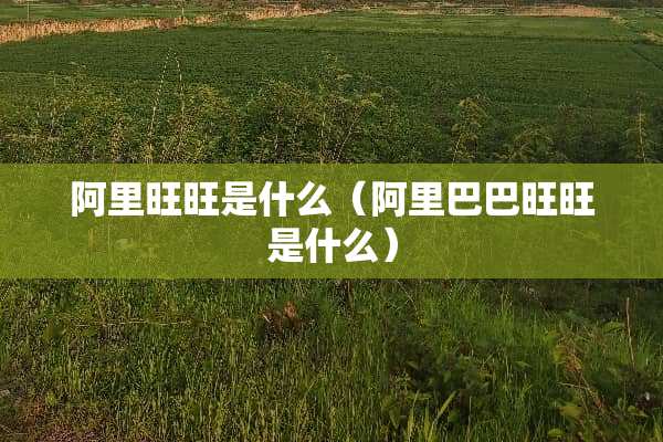 阿里旺旺是什么（阿里巴巴旺旺是什么）
