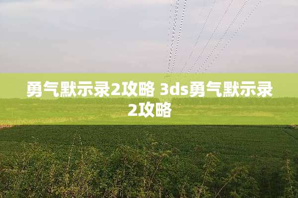 勇气默示录2攻略 3ds勇气默示录2攻略
