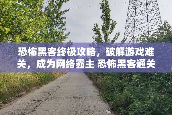 恐怖黑客终极攻略，**游戏难关，成为网络霸主 恐怖黑客通关攻略游戏