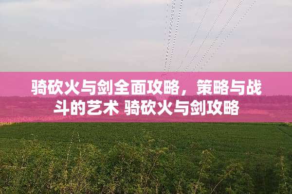 骑砍火与剑全面攻略，策略与战斗的艺术 骑砍火与剑攻略