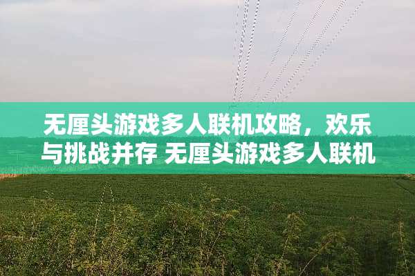 无厘头游戏多人联机攻略，欢乐与挑战并存 无厘头游戏多人联机攻略