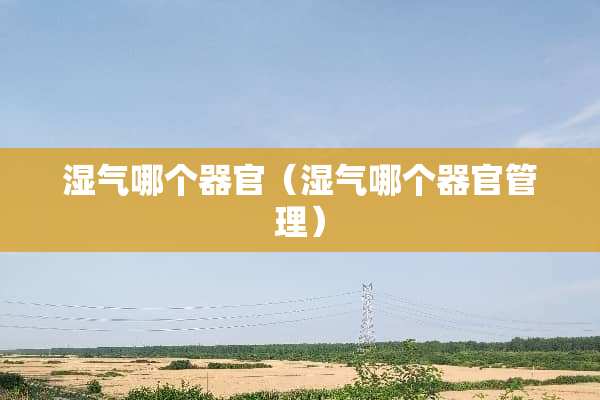 湿气哪个**（湿气哪个**管理）