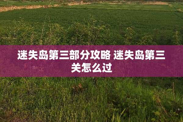 迷失岛第三部分攻略 迷失岛第三关怎么过