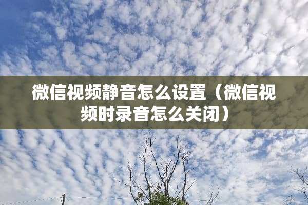 微信视频静音怎么设置（微信视频时录音怎么关闭）