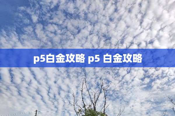 p5白金攻略 p5 白金攻略