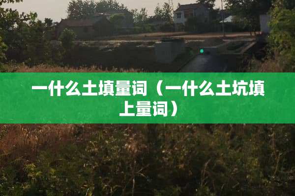 一什么土填量词（一什么土坑填上量词）