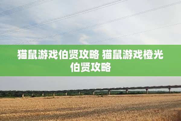猫鼠游戏伯贤攻略 猫鼠游戏橙光伯贤攻略
