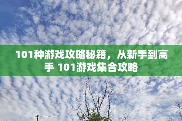 101种游戏攻略秘籍，从新手到高手 101游戏集合攻略