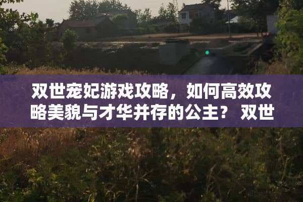 双世宠妃游戏攻略，如何高效攻略美貌与才华并存的公主？ 双世宠妃游戏攻略
