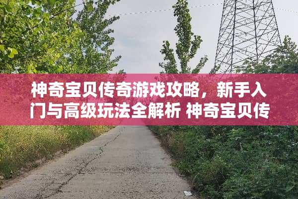 神奇宝贝传奇游戏攻略，新手入门与高级玩法全解析 神奇宝贝传奇游戏攻略