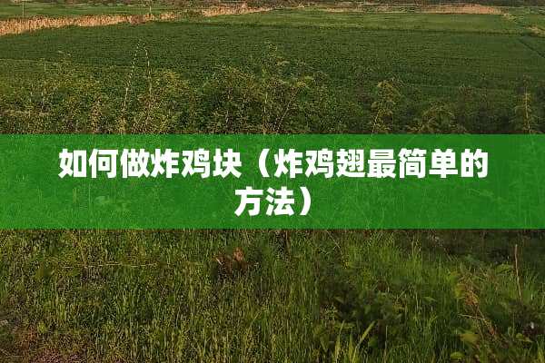 如何做炸鸡块（炸鸡翅最简单的方法）