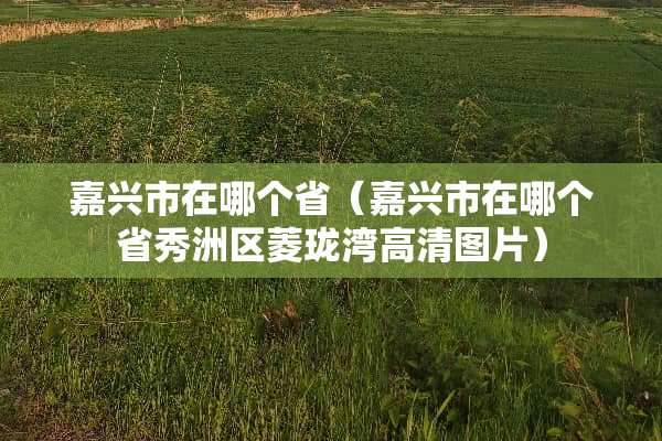 嘉兴市在哪个省（嘉兴市在哪个省秀洲区菱珑湾高清图片）